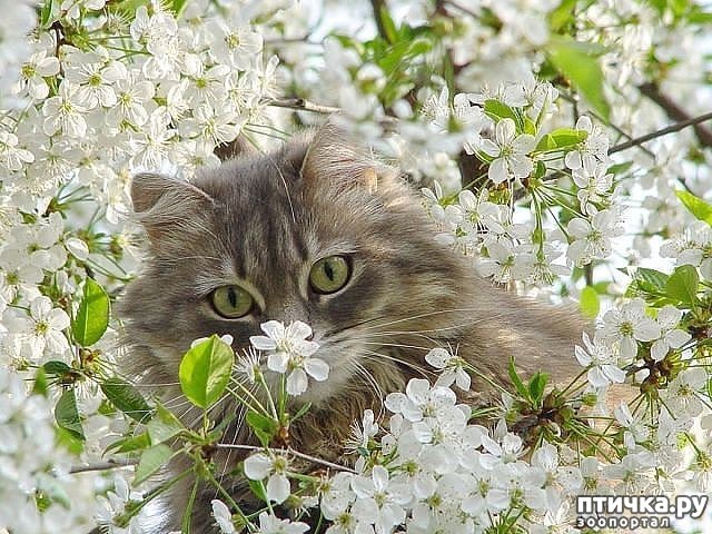 ���� 1: ���� ��� � ��� ���� ������