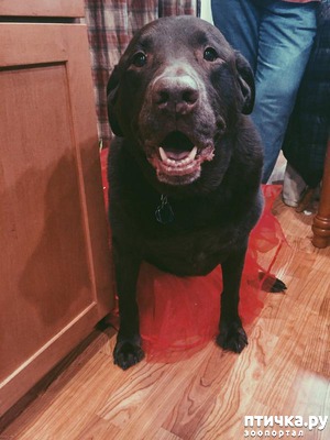 ����: ��������� ��������.