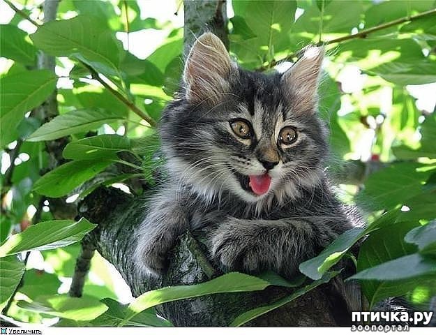 ���� 3: ���� ��� � ��� ���� ������