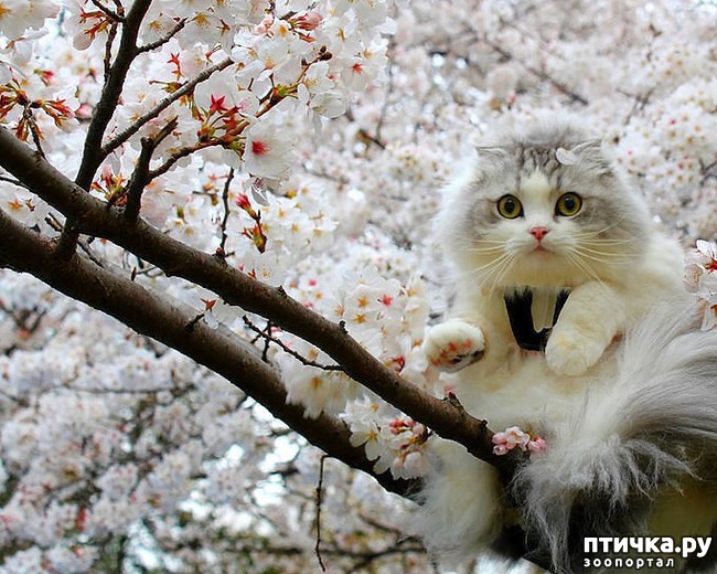 ���� 4: ���� ��� � ��� ���� ������