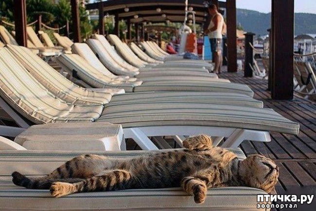 ���� 14: ��� ������������ ���� � ���������))