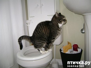 ����: ��� �������� ����� ������ �� ������