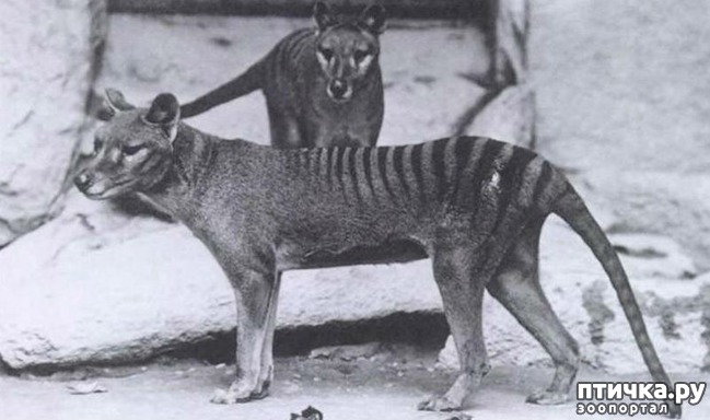 ���� 1: 10 ����� ��������, ������� �������� �������