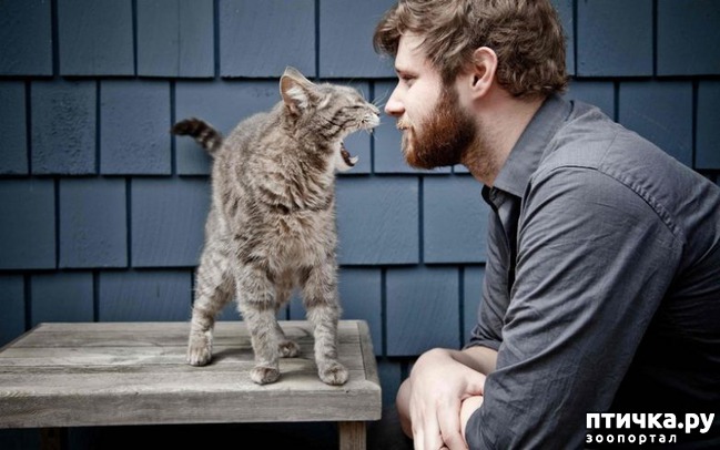 ���� 21: ��� ������������ ���� � ���������))