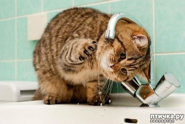 ���� 3: ����� ���������� � ������.