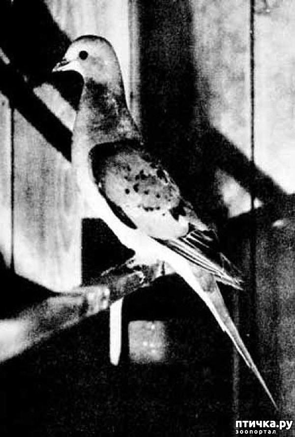 ���� 6: 10 ����� ��������, ������� �������� �������