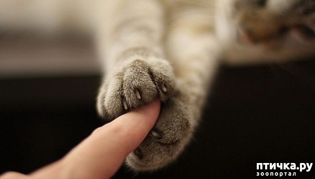 ���� 24: ��� ������������ ���� � ���������))