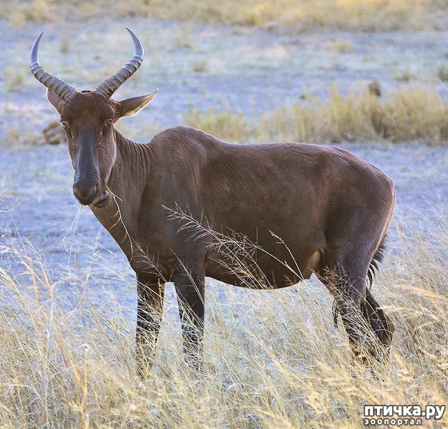 ���� 7: 10 ����� ��������, ������� �������� �������