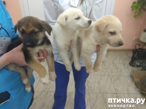 ����: ����� ������!