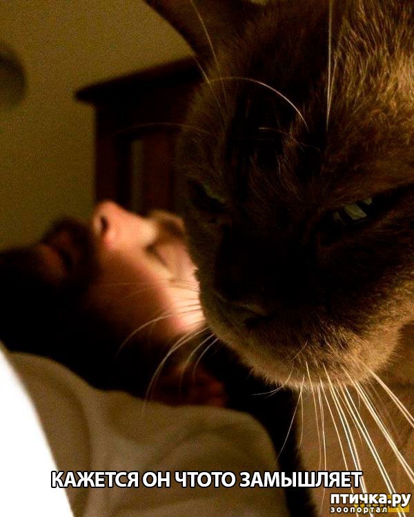 ���� 1: �� ����������� ��������� �����������!