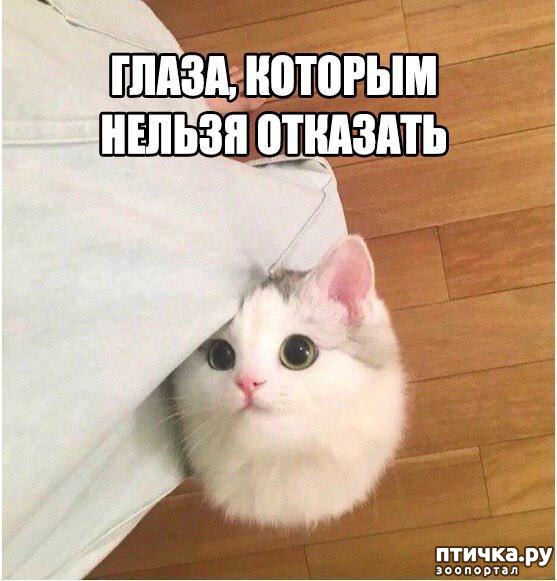 ���� 3: �� ����������� ��������� �����������!