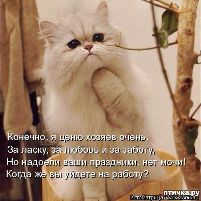 ���� 4: �� ����������� ��������� �����������!