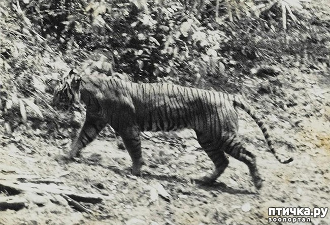 ���� 8: 10 ����� ��������, ������� �������� �������