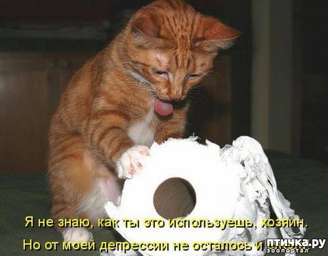 ���� 5: �� ����������� ��������� �����������!