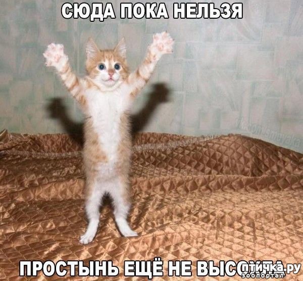 ���� 7: �� ����������� ��������� �����������!