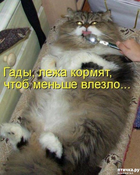 ���� 9: �� ����������� ��������� �����������!