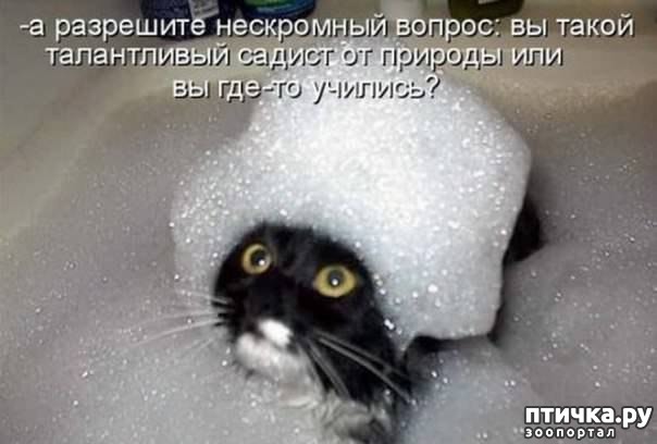 ���� 10: �� ����������� ��������� �����������!