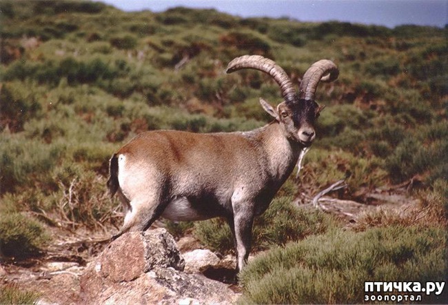 ���� 10: 10 ����� ��������, ������� �������� �������