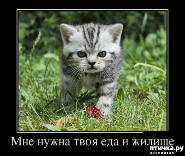 ���� 11: �� ����������� ��������� �����������!