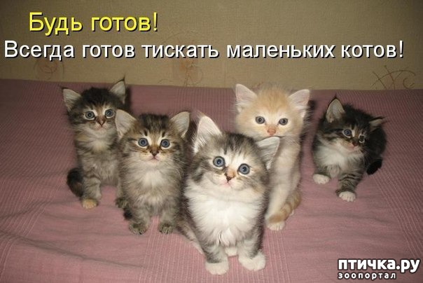 ���� 12: �� ����������� ��������� �����������!