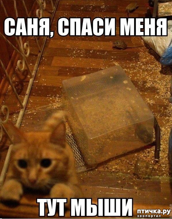 ���� 13: �� ����������� ��������� �����������!