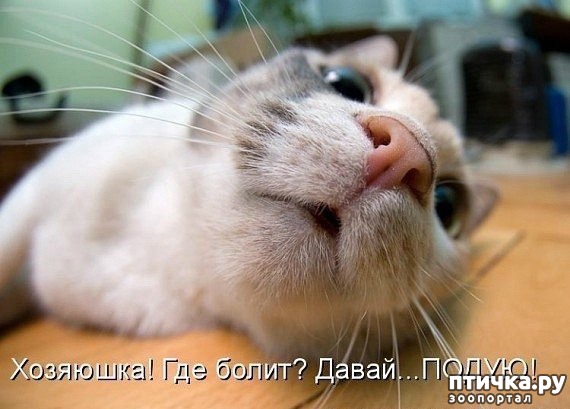 ���� 14: �� ����������� ��������� �����������!