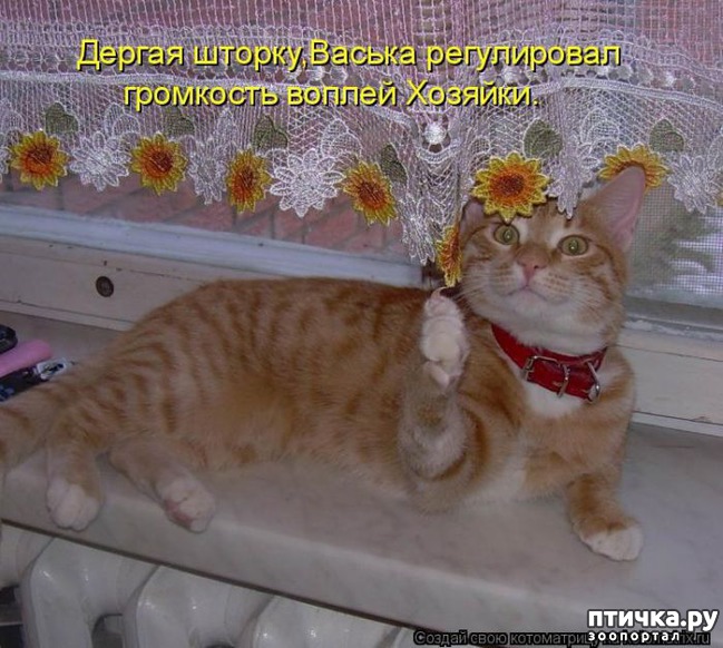 ���� 15: �� ����������� ��������� �����������!