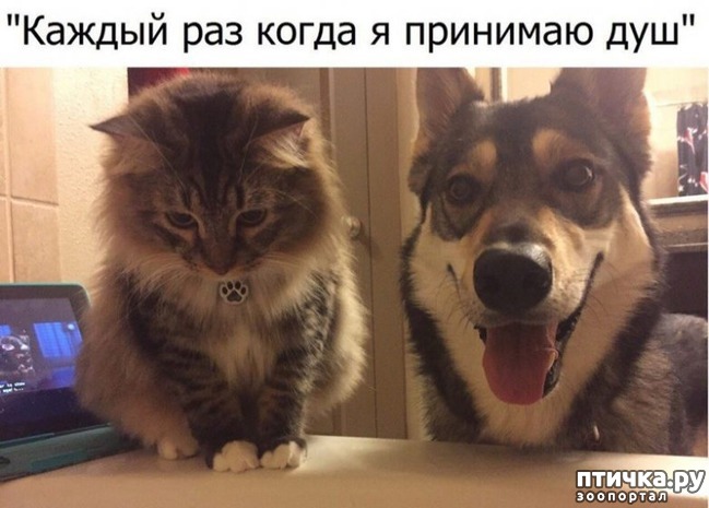 ���� 16: �� ����������� ��������� �����������!