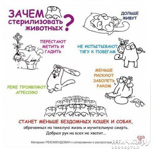 ����: ������ ������ ��������� ��������? ���������� ������ �������! ��� �����: ������ �������� �� ������!