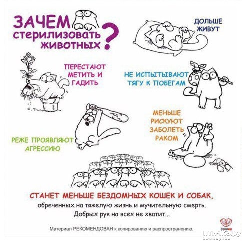 ���� 1: ������ ������ ��������� ��������? ���������� ������ �������! ��� �����: ������ �������� �� ������!