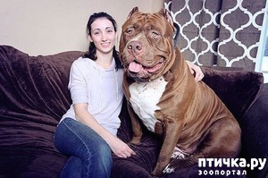 ����: ����� ������� ������� � ����