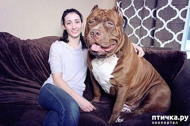 ���� 1: ����� ������� ������� � ����