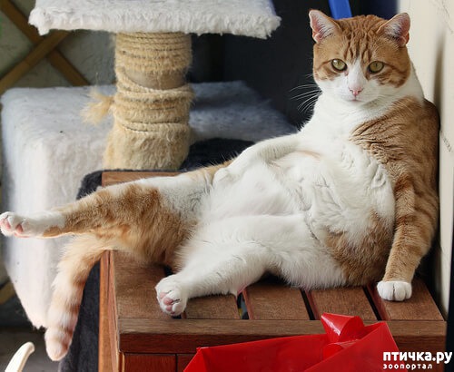 ���� 2: �������� ����� ��� �����