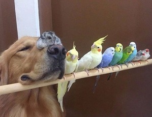 ����: ����� ��������� ������ �� �����: ������, ����� � 8 ��������