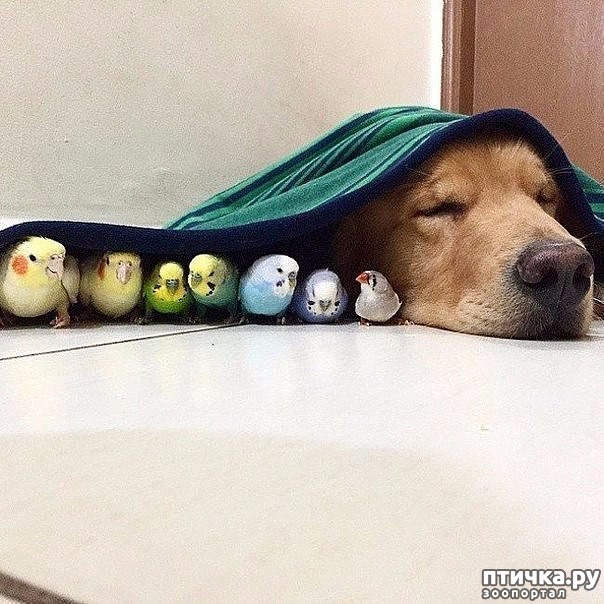 ���� 2: ����� ��������� ������ �� �����: ������, ����� � 8 ��������