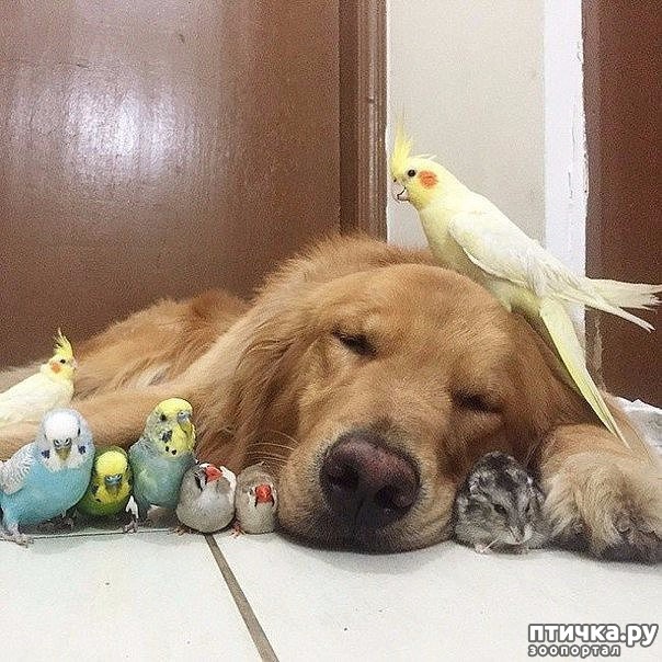 ���� 4: ����� ��������� ������ �� �����: ������, ����� � 8 ��������