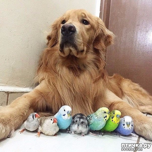 ���� 5: ����� ��������� ������ �� �����: ������, ����� � 8 ��������