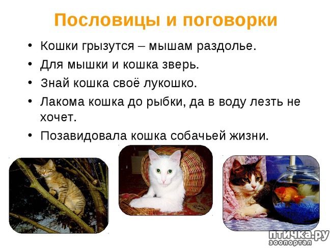  2: :   