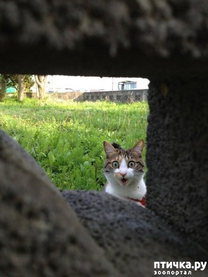 ����: 20 ������ ���������� ����� ���� ������ � ������� 4