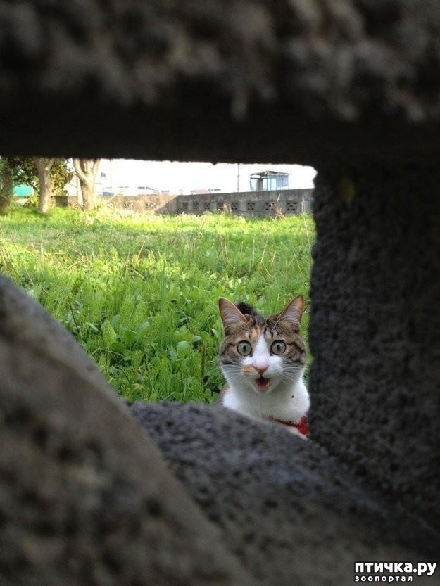 ���� 1: 20 ������ ���������� ����� ���� ������ � ������� 4