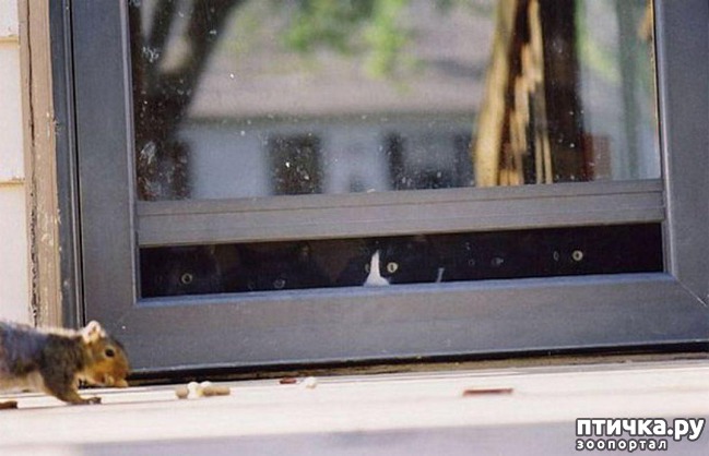 ���� 2: 20 ������ ���������� ����� ���� ������ � ������� 4