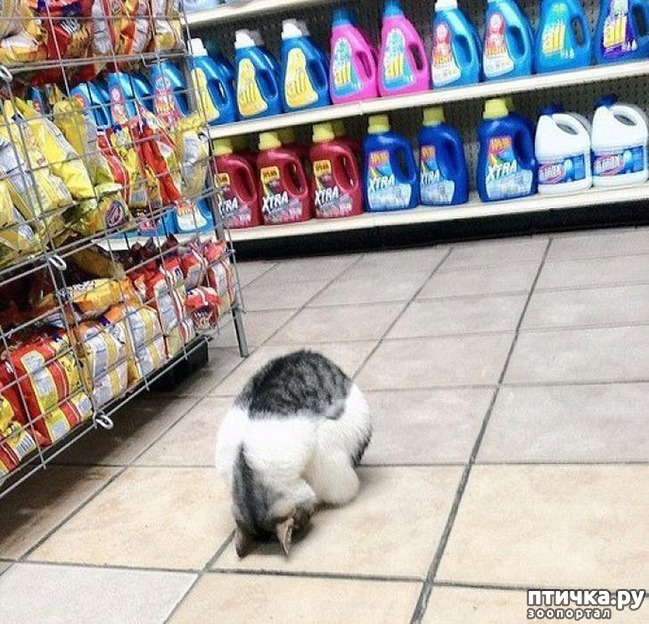 ���� 5: 20 ������ ���������� ����� ���� ������ � ������� 4