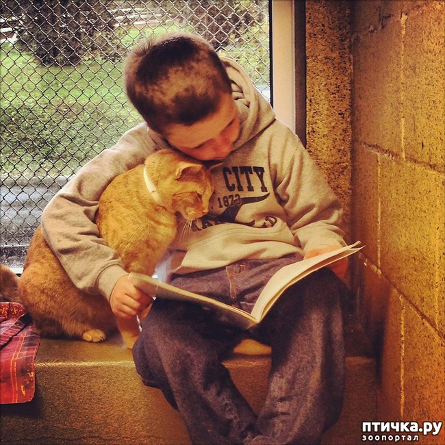 ���� 6: 20 ������ ���������� ����� ���� ������ � ������� 4