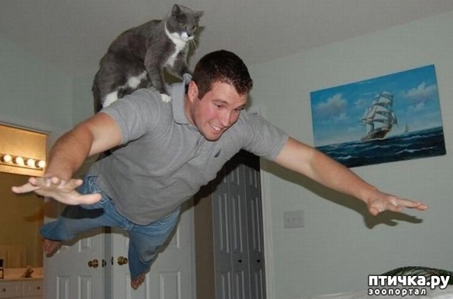 ���� 8: 20 ������ ���������� ����� ���� ������ � ������� 4