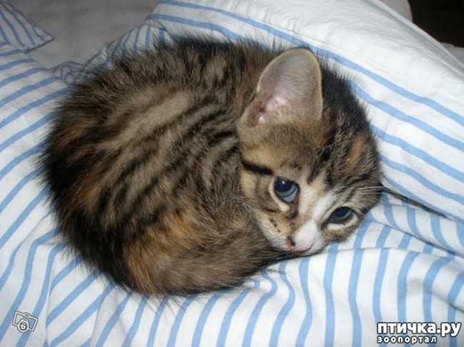 ���� 9: 20 ������ ���������� ����� ���� ������ � ������� 4