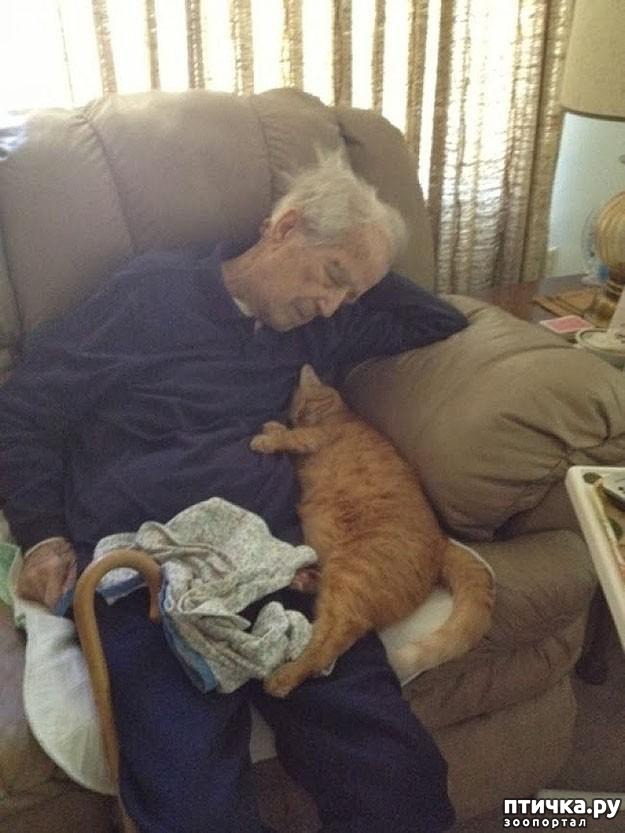 ���� 12: 20 ������ ���������� ����� ���� ������ � ������� 4