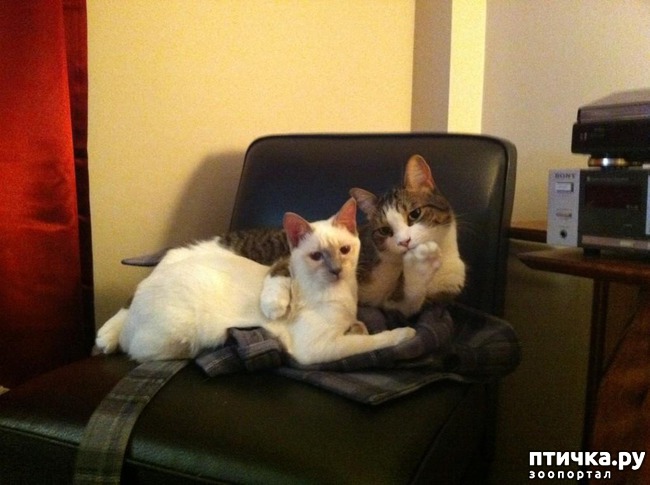 ���� 14: 20 ������ ���������� ����� ���� ������ � ������� 4