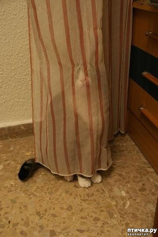 ���� 15: 20 ������ ���������� ����� ���� ������ � ������� 4