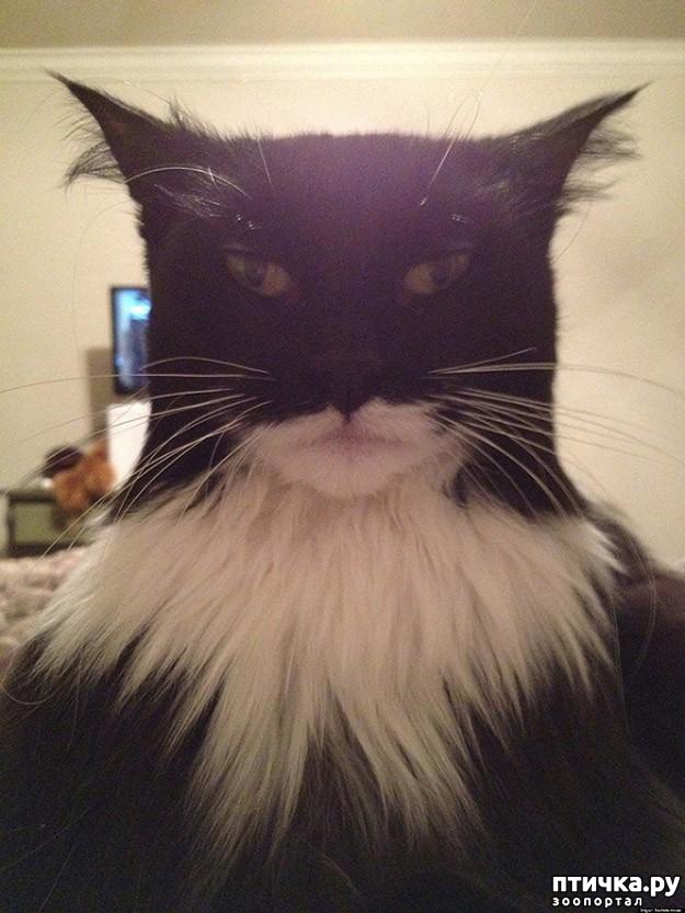 ���� 17: 20 ������ ���������� ����� ���� ������ � ������� 4