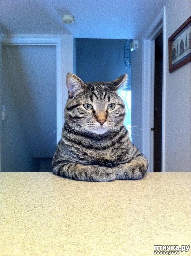 ���� 19: 20 ������ ���������� ����� ���� ������ � ������� 4